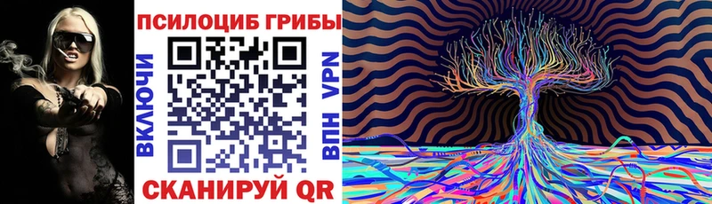 mega ТОР  как найти   Никольск  Галлюциногенные грибы ЛСД 